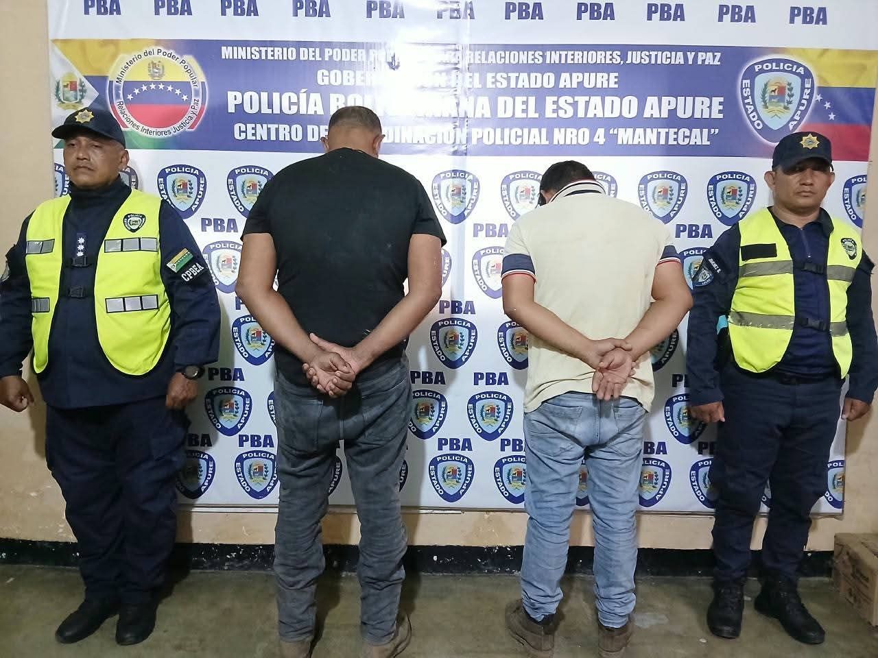 Detienen a 2 hombres en Mantecal por el transporte ilegal de 13 semovientes mulares