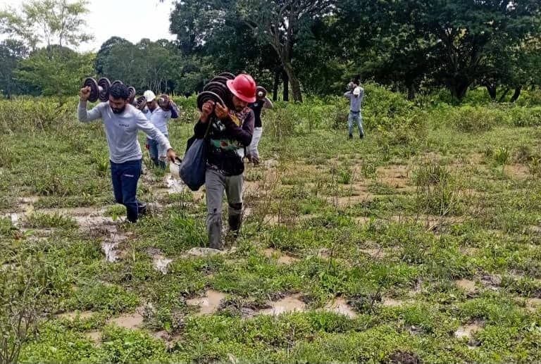 ‎CORPOELEC optimizó la línea de alta tensión 115 kV San Fernando II – Achaguas para beneficiar a más de 70 mil usuarios