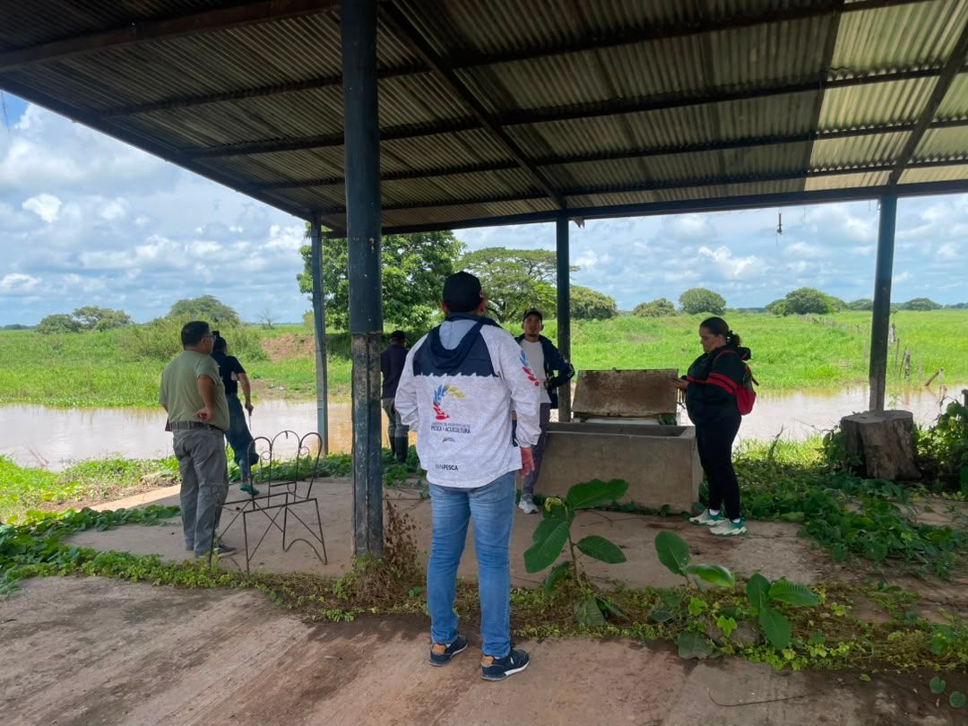 Minpesca intensifica inspecciones en puertos de la región llanera a tres días de culminar la veda