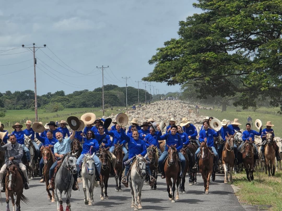 Con más de 6.000 mautes en marcha Apure ratifica su condición de capital llanera del país