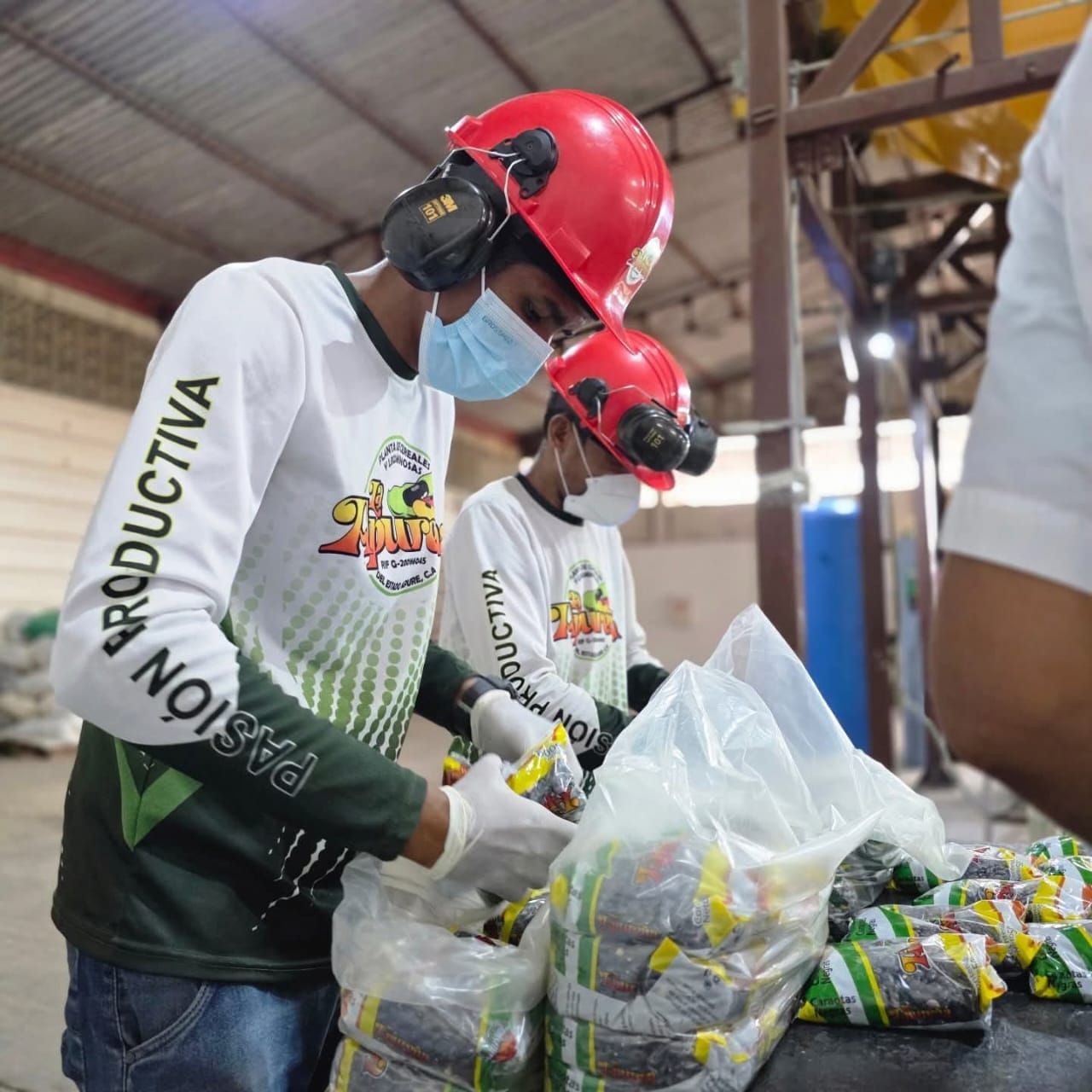 Apure avanza hacia la industrialización con el procesamiento de más de 300 mil kilos de leguminosas en la planta «La Apureña»